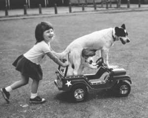 Maedchen schiebt Wagen mit zwei Hunden