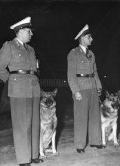 Zwei Polizisten mit Hunden