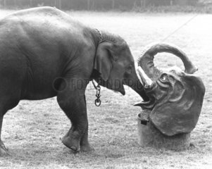 Elefant trinkt aus Elefantenkopf