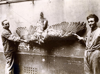 Zwei Maenner mit totem Adler