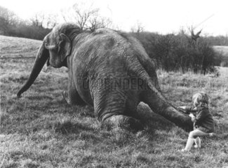 Elefant + Maedchen spielen auf Wiese