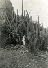 Mann am Kaktus