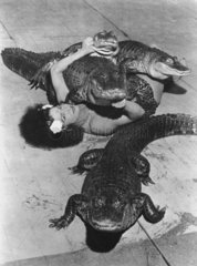 Frau mit vier Krokodilen