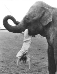 Elefant mit Kind im Maul
