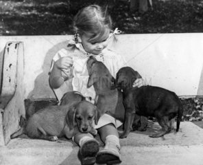 Kleines Maedchen mit Hundewelpen