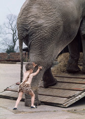 Kind schiebt Elefant
