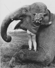 Maedchen fluestert Elefant ins Ohr