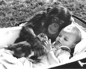 Affe kuschelt mit Baby und Ente