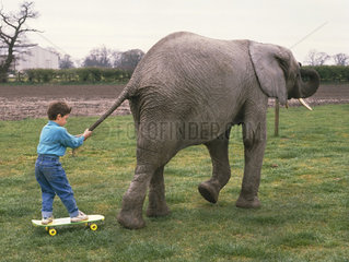 Junge laesst sich von einem Elefanten ziehen