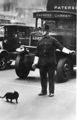 Verkehrspolizist laesst eine Katze ueber die Strasse