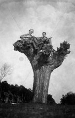1910 zwei Maenner sitzen auf blattlosem Baum