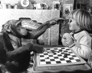 No. 1 Maedchen und Schimpanse spielen Muehle