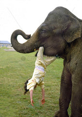 Elefant mit Kind im Maul