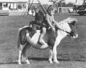 Kind und Affe reiten auf Pony