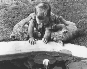 Kleinkind + Raubkatzen am Teich