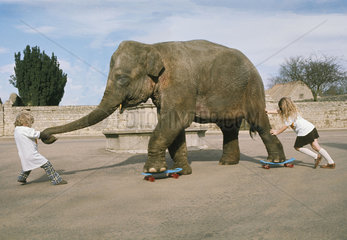 zwei Maedchen spielen mit einem Elefanten