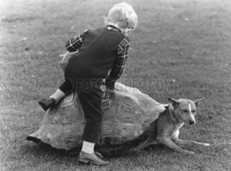 Kind + Schildkroetenhund