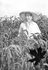 Mao Tse-tung arbeitet im Feld