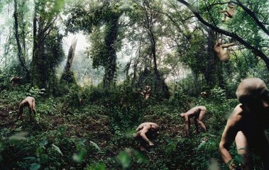 Nackte Menschen im Wald