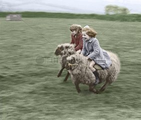 zwei Kinder reiten auf Schafen