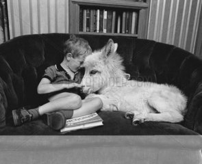 Junge mit Esel auf dem Sofa