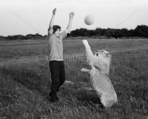 Junge spielt mit Loewen Ball