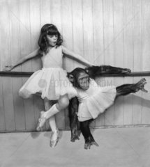 Ballet mit einem Schimpansen