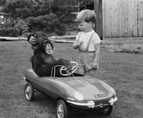 Affe und Junge mit Spilezeugauto
