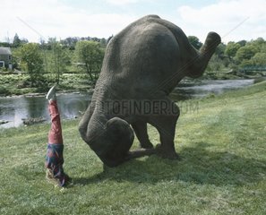 Junge macht mit Elefanten Kopfstand
