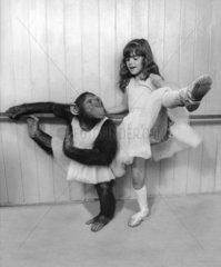 Ballet mit einem Schimpansen