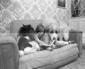 kind mit Esel und Hund auf dem Sofa