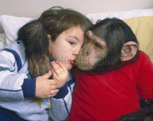 Schimpanse und Junge schmusen