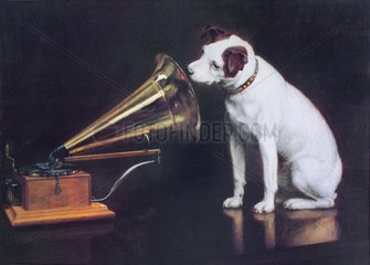 Hund lauscht Grammophon