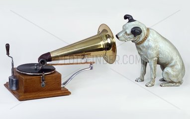 Hund lauscht Grammophon