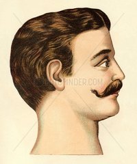 Mann im Profil  1903
