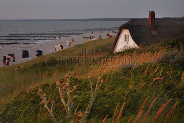 Ahrenshoop - House in Dunes