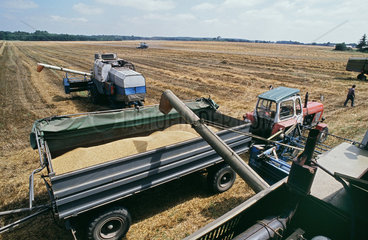 LPG-Landwirtschaft in der DDR