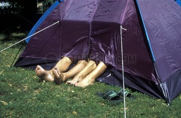 vier Beine schauen aus Zelt