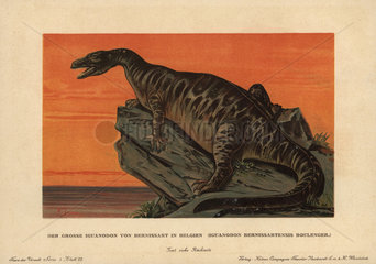 Iguanodon bernissartensis  extinct ground-dwelling herbivore of the Jurassic.