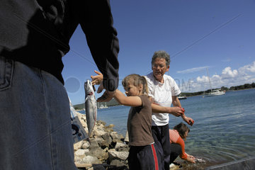 Kroatien - Insel Ilovik  Maedchen verkauft Fisch