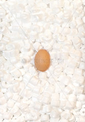 Ein Ei geschuetzt durch Schaumstoff-Flocken