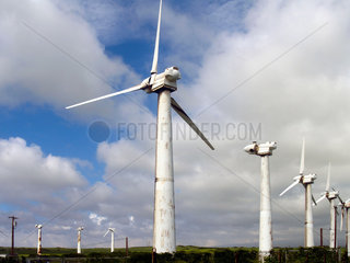 Windpark auf Big Island