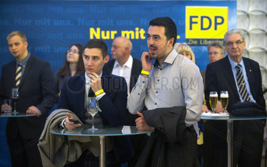 FDP Waehler