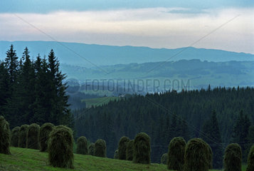 Berglandschaft in der Tatra  Polen