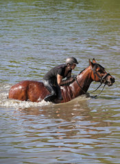 Oberoderwitz  Frau reitet mit ihrem Pferd durch einen See