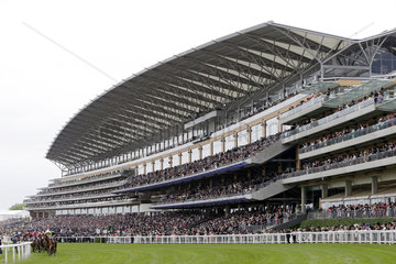 Royal Ascot  Horses and jockeys during the Ascot Gold Cup in front of the grandstand