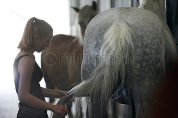 Oberoderwitz  junge Frau entwirrt den Schweif ihres Pferdes auf der Stallgasse