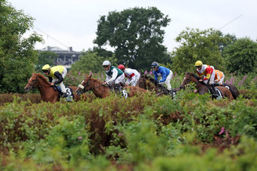 Hamburg  Pferde und Jockeys im Rennen in der Gegengeraden