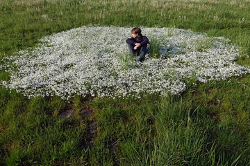 Hamburg  Deutschland  Junge sitzt auf einer Wiese inmitten weisser Blumen