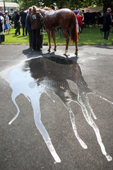 Royal Ascot  water puddle on the ground